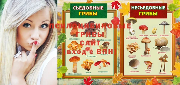 молекула духа Кукмор