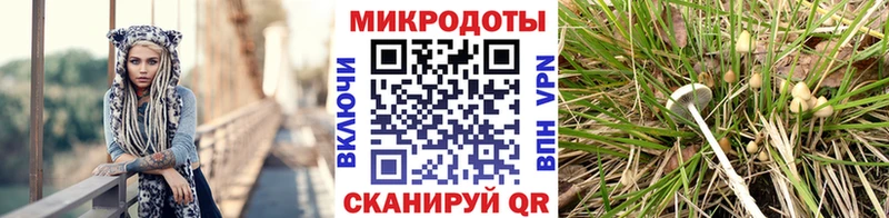 Псилоцибиновые грибы ЛСД  MEGA рабочий сайт  Темрюк 