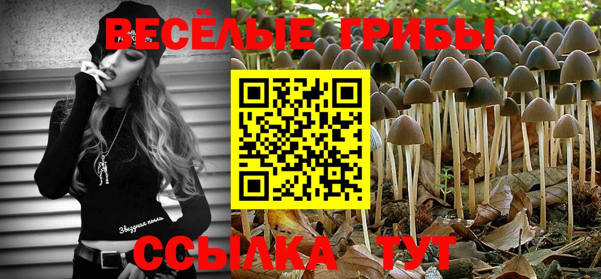 Псилоцибиновые грибы Cubensis  Вход с VPN  Темрюк  Псилоцибиновые грибы мицелий 