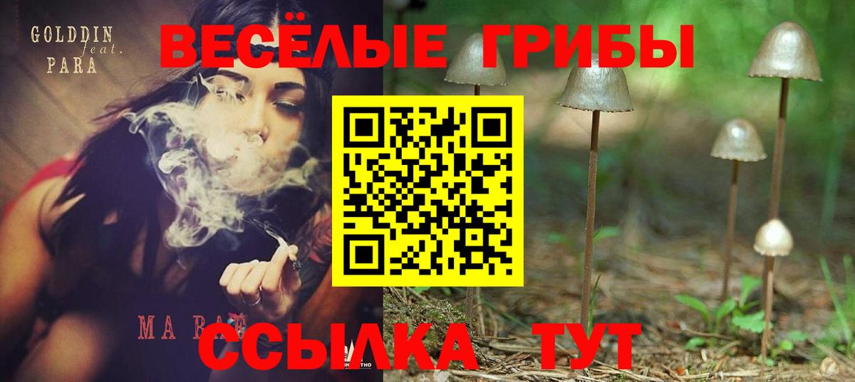Галлюциногенные грибы Psilocybine cubensis  Темрюк 